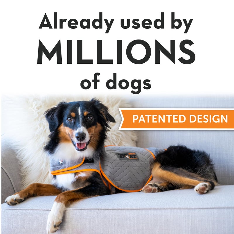 ThunderShirt for Dogs, X Small, Platinum Sport - Dog Anxiety Relief Calming Vest - Image 2